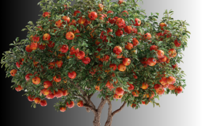 The Relationship Tree: Your Most Valuable Asset in the Car Business